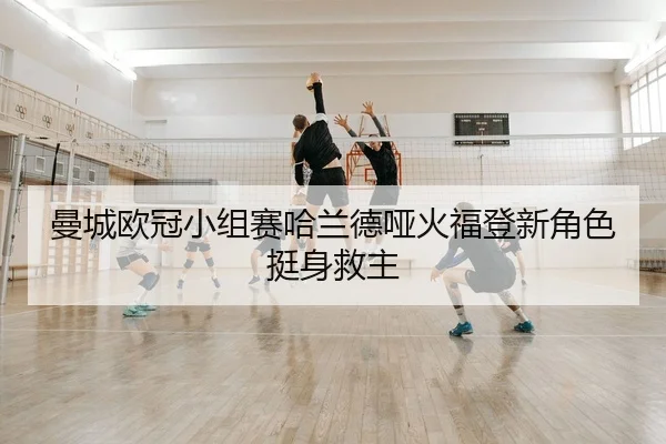 man-cheng-ou-guan-xiao-zu-sai-ha-lan-de-ya-huo-fu-deng-xin-jue-se-ting-shen-jiu-zhu-2-729.jpg