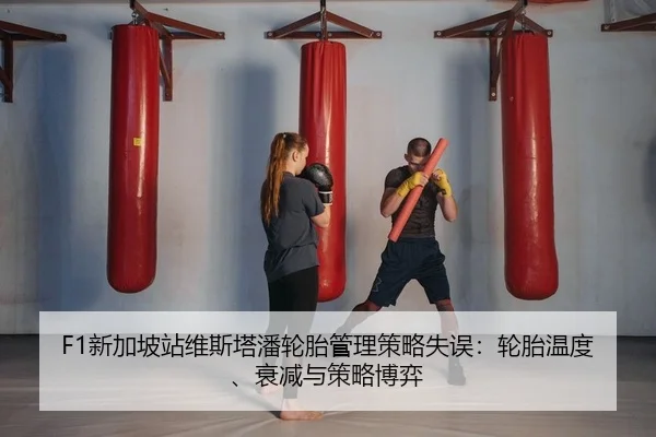 xin-jia-po-zhan-wei-si-ta-pan-lun-tai-guan-li-ce-lve-shi-wu-lun-tai-wen-du-shuai-jian-yu-ce-lve-bo-yi-2-303.jpg