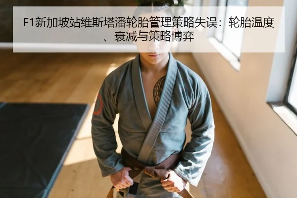 F1新加坡站维斯塔潘轮胎管理策略失误：轮胎温度、衰减与策略博弈